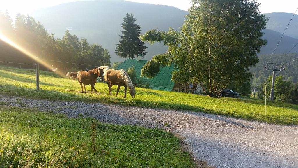 Penzion Alenka Špindlerŭv Mlýn Dış mekan fotoğraf